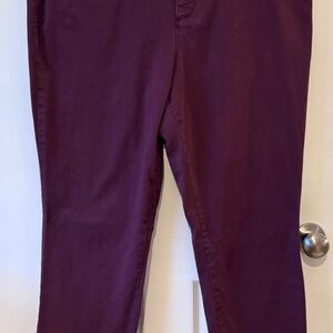 Gloria Vanderbilt Women's Straight Leg Jeans - Rich Plum